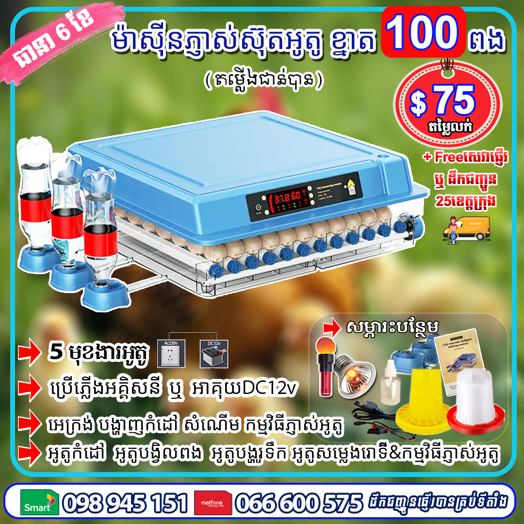 ម៉ាស៊ីនភ្ញាស់ស៊ុត ខ្នាត 100 ពង (ខៀវ)